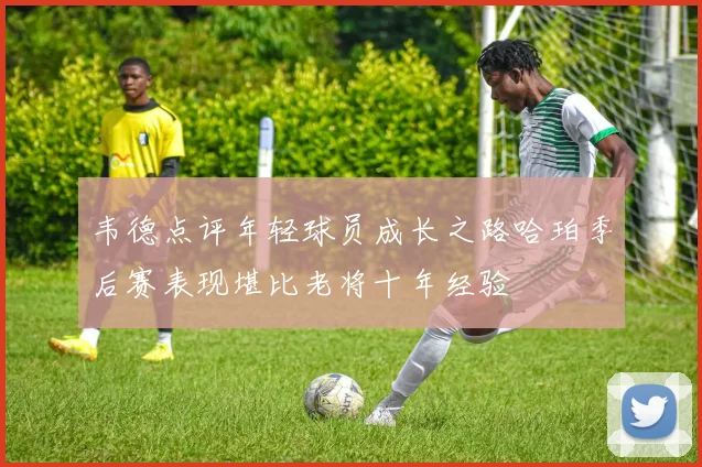 韦德点评年轻球员成长之路哈珀季后赛表现堪比老将十年经验